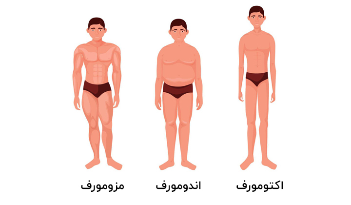 انواع تیپ بدنی در مردان و زنان + تست تشخیص تیپ بدنی