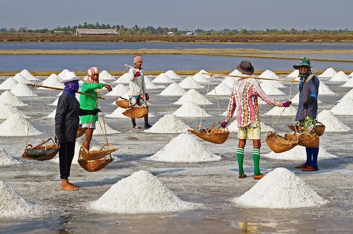 انواع نمک خوراکی و کاربرد آن در آشپزی 12 "انواع