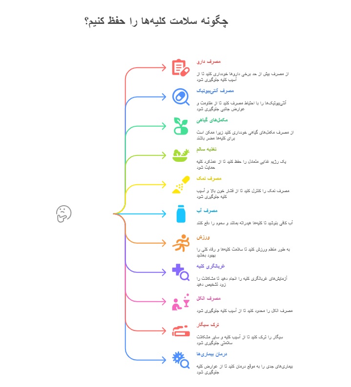 ۱۱ باید و نباید برای داشتن کلیههای سالم_ستاره شو 7 اینفوگرافیک سالم نگه داشتن کلیهها